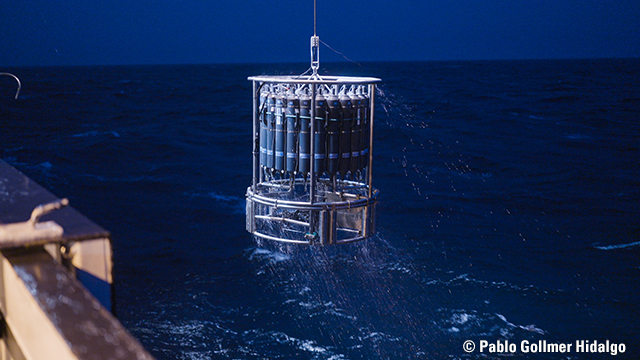 What threats lurk in the ocean?