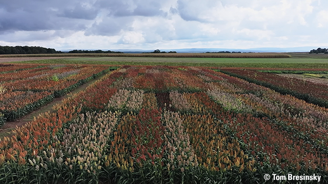 … and the future of our agriculture