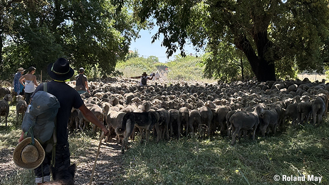 From Cáceres to Toledo From Cáceres to Toledo