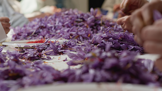 Von Cuenca nach Albacete
