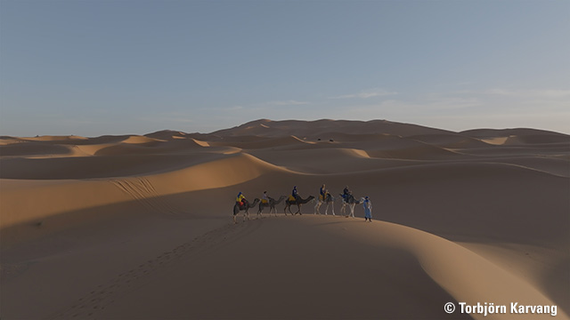 Von Córdoba nach Cambridge