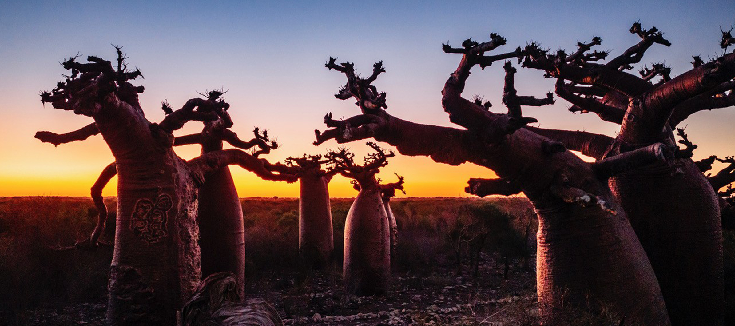 We have been producing documentary films around the world for more than 30 years