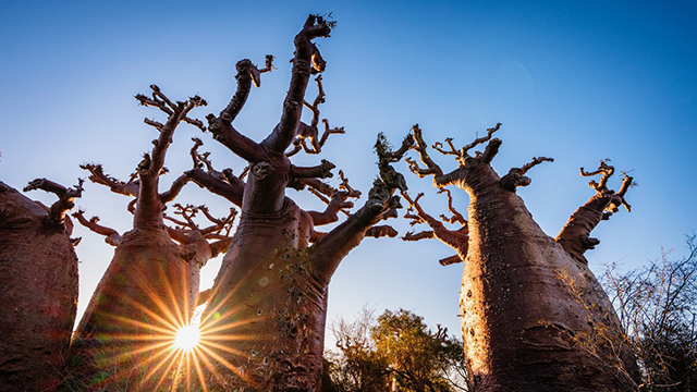 Madagaskar – Insel der Extreme
